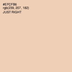 #EFCFB6 - Just Right Color Image